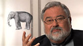 How Democrats and Progressives Can Win: Solutions from George Lakoff